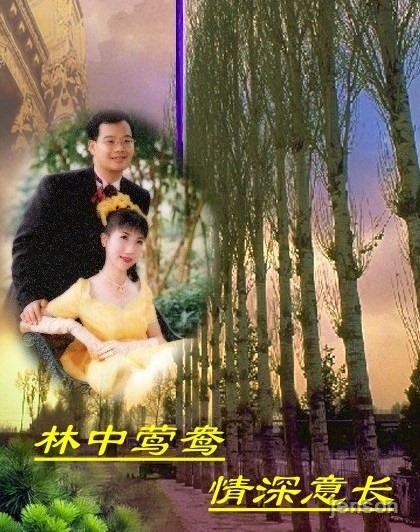 林中鸳鸯