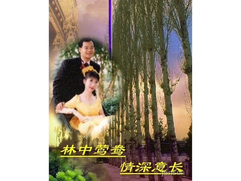 林中鸳鸯