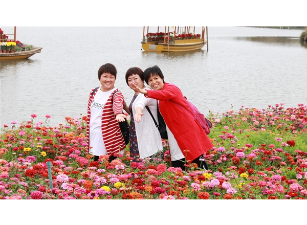 赏花